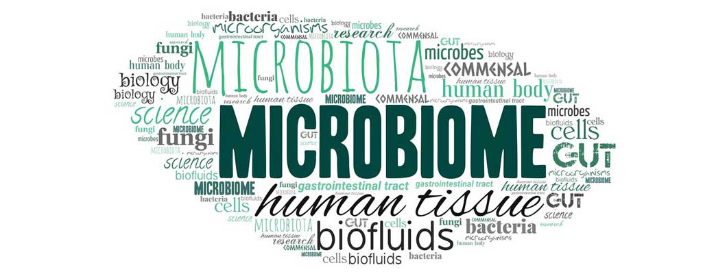 Μικροβίωμα του Εντέρου:  Οφέλη και Ενίσχυση της Υγείας